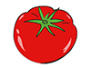 Tomato-Food | Food | Free Illustration Material