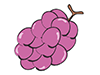 Grape / Grape-Food ｜ Food ｜ Free Illustration Material